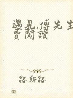 遇见,傅先生免费阅读