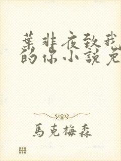 叶非夜致我最爱的你小说免费阅读