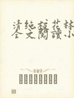 清纯校花林思琪全文阅读小说