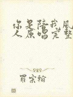 你是陪我风雨的人原唱完整版