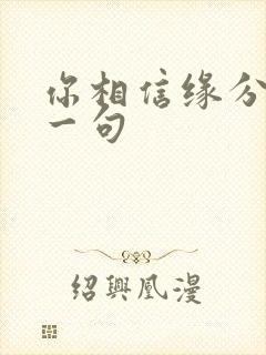 你相信缘分吗下一句