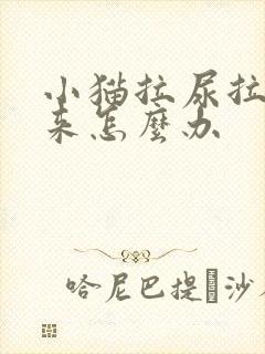 小猫拉尿拉不出来怎么办