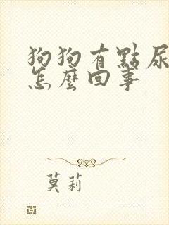 狗狗有点尿血是怎么回事