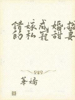 错嫁成婚,总裁的私宠甜妻