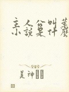 主人公叫叶辰的小说是什么小说