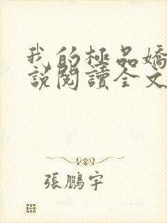 我的极品娇妻小说阅读全文免费