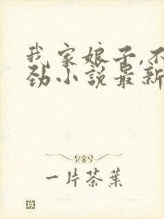 我家娘子,不对劲小说最新章节阅读