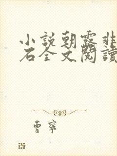 小说朝露非木非石全文阅读