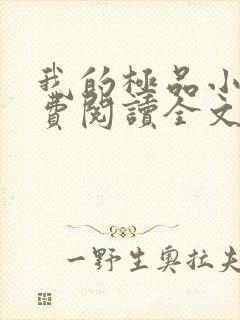 我的极品小姨免费阅读全文小说