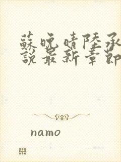 苏晚晴陆承骁小说最新章节更新内容