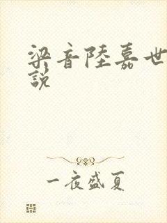 梁音陆嘉世的小说