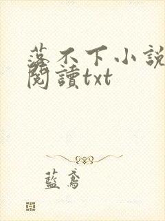 落不下小说免费阅读txt