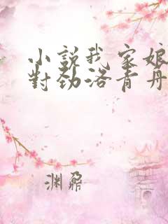 小说我家娘子不对劲洛青舟完结