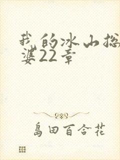我的冰山总裁老婆22章