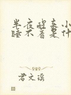 半夜醒来小便后睡不着是什么原因