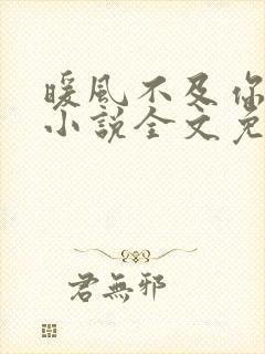 暖风不及你情深小说全文免费阅读正版