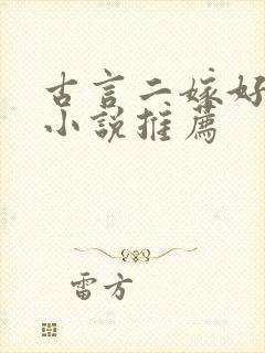 古言二嫁好看的小说推荐