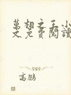 万相之王小说全文免费阅读无弹窗