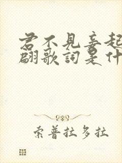 君不见妾起舞翩翩歌词是什么意思