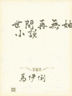 世间再无她欢颜 小说