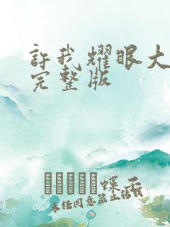 许我耀眼大结局完整版