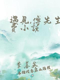 遇见,傅先生免费小说