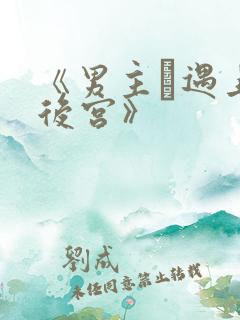 《男主·遇上·后宫》