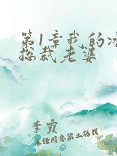 第1章我的冰山总裁老婆