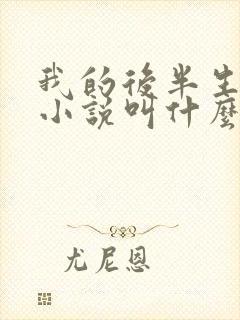 我的后半生原著小说叫什么