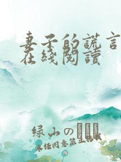 妻子的谎言小说在线阅读