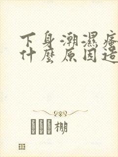 下身潮湿瘙痒是什么原因造成的