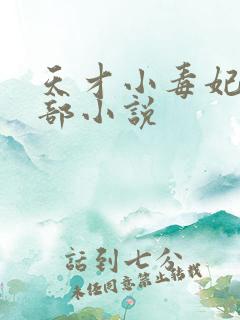 天才小毒妃第三部小说