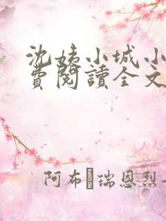 沈姨小城小说免费阅读全文最新章节