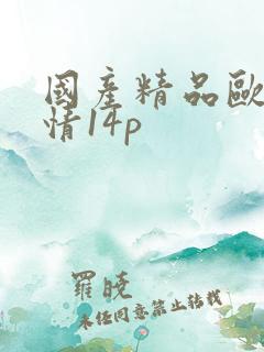 国产精品欧美激情14p