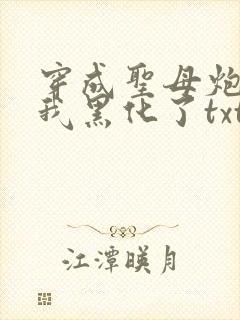 穿成圣母炮灰后我黑化了txt