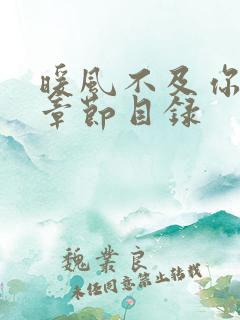 暖风不及你情深章节目录