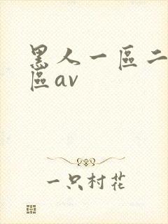 黑人一区二区三区av