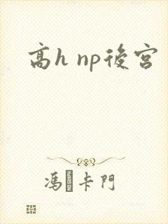 高h np后宫