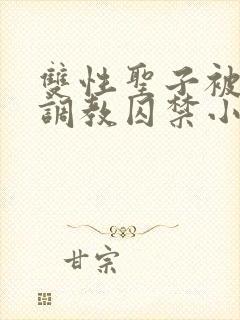 双性圣子被祭司调教囚禁小说尤物