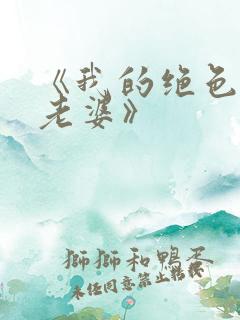 《我的绝色冰山老婆》