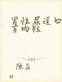 男性尿道口上面有肉粒