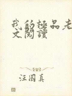 我的极品老婆全文阅读