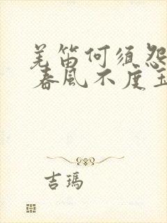 羌笛何须怨杨柳 春风不度玉门关修辞