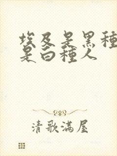 埃及是黑种人还是白种人