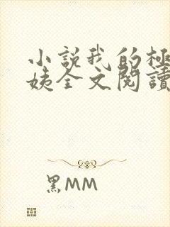 小说我的极品小姨全文阅读