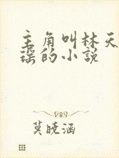 主角叫林天顾悦瑶的小说