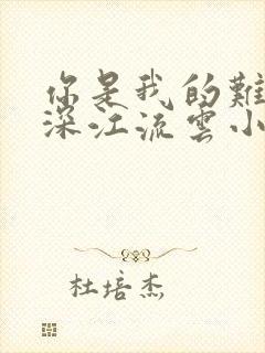 你是我的难得情深江流云小说