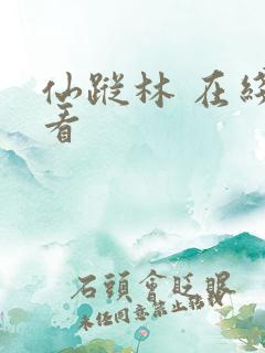 仙踪林 在线观看