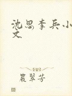 沈思李兵小说全文