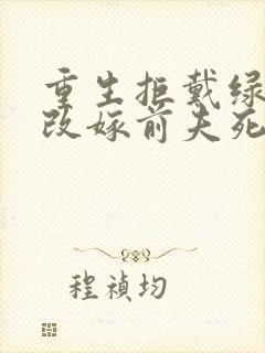 重生拒戴绿帽我改嫁前夫死对头